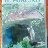 (797) - Il Re del Bosco: Il Porcino (Dvd)