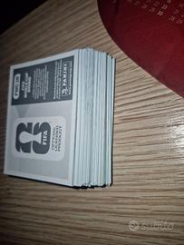Panini mondiali