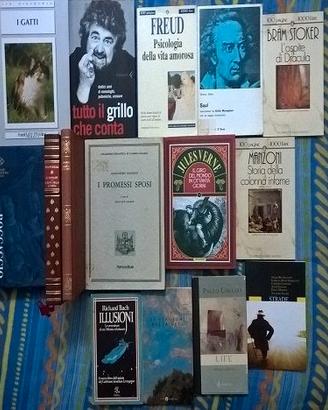 lotto 23 libri classici della letteratura +2 saggi