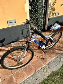 Bicicletta ragazzo, prima dimensione da adulto