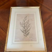 Quadro stampa vintage