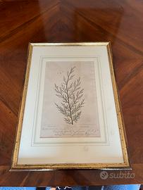 Quadro stampa vintage