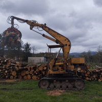 Escavatore forestale