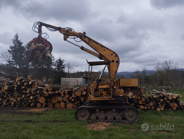 Escavatore forestale