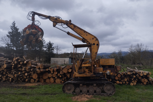 Escavatore forestale