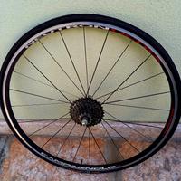 ruote neutron campagnolo