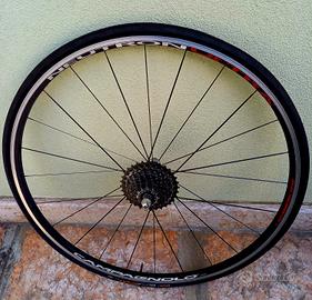 ruote neutron campagnolo