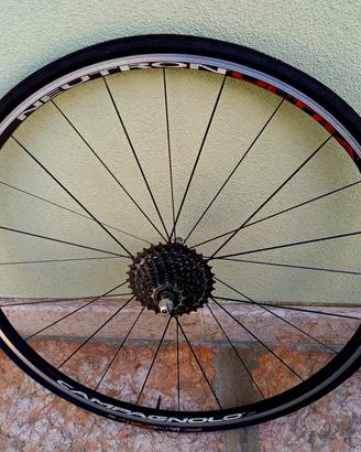 ruote neutron campagnolo