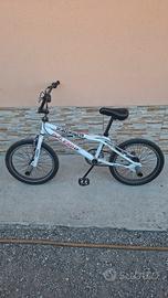 Bicicletta BMX Freestyle Raleigh "Scattomatto"