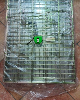 Kennel
