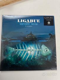Ligabue - Arrivederci, Mostro! acustic version