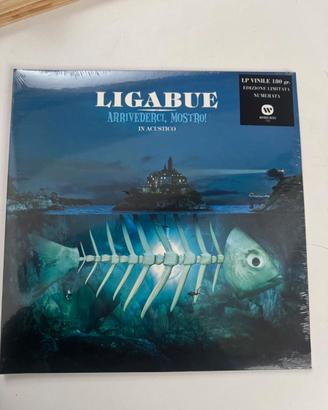 Ligabue - Arrivederci, Mostro! acustic version
