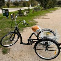 bicicletta a tre ruote con cambio 