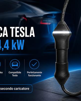 ⚡ Cavo ricarica auto elettriche Tesla20A 4,4kW Del
