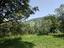 Immagine 27