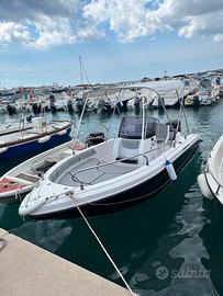 Barca Ranieri international Voyager 19S