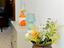 Immagine 29