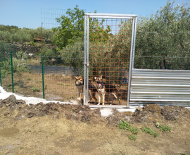 Terreno belpasso mascalucia