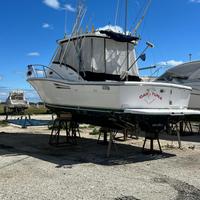 Pursuit 3000 Offshore