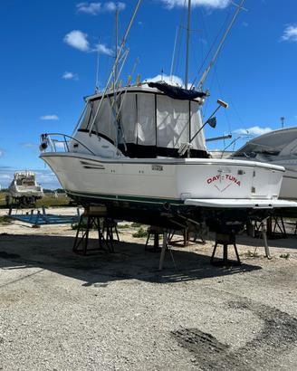 Pursuit 3000 Offshore