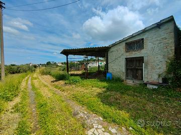 Rif.79 Terreno Agricolo C/Magaz. Castel Gandolfo
