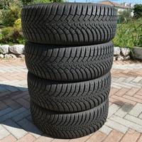 gomme invernali Falken 225\60\17