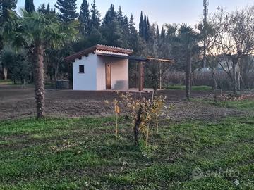 terreno con annesso agricolo 