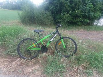Bicicletta