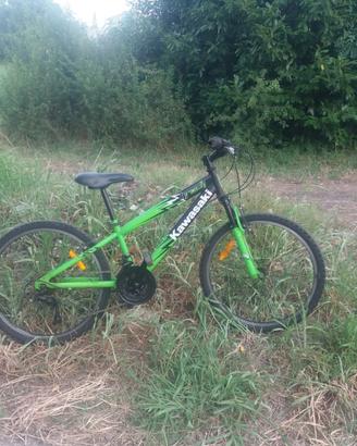 Bicicletta
