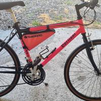 Mountain bike Cerliani