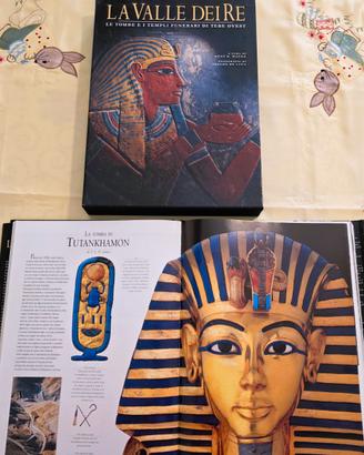 🟥😱PREZZO TOP👍VALLE DEI RE OPERA DA COLLEZIONE