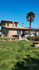 Investi nel verde: villa+bambu' gigante = reddito