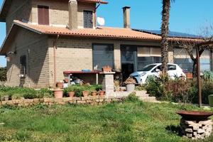 Investi nel verde: villa+bambu' gigante = reddito