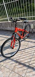 Bicicletta