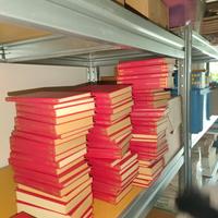 libri collana Rizzoli