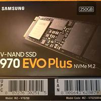 SSD MVMe (2 pezzi di vari tagli)