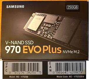 SSD MVMe (2 pezzi di vari tagli)