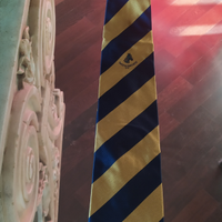 Cravatta Società Modenese 1875 by Tino Cosma