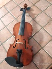 violino