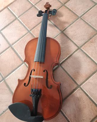 violino