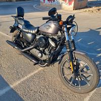 Harley-Davidson Sportster 883 - 2016