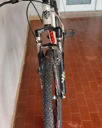 bici MTB 