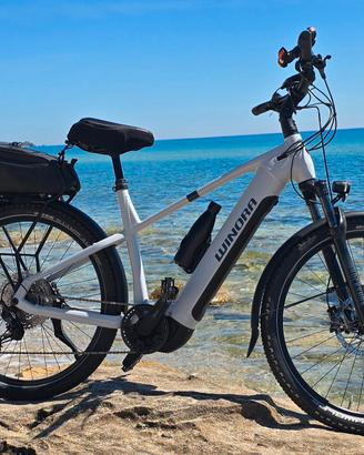 Bicicletta pedalata assistita