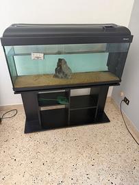 Acquario 240L + Accessori