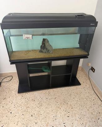 Acquario 240L + Accessori
