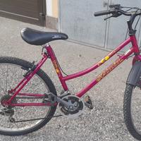 Bicicletta (da donna)