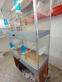 gabbioni per canarini e  vari uccelli 
