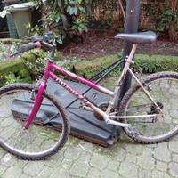 Bicicletta Mountain bike