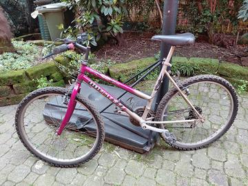 Bicicletta Mountain bike