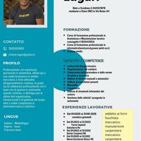 Operaio specializzato meccanico